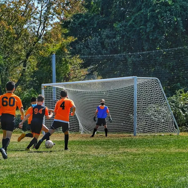 Team fans and gear photo 3